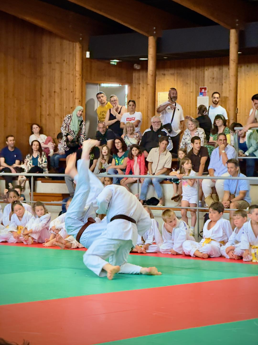 Le Judo en majesté à Montauban une fois de plus avec l’AMM82