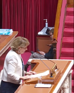 Proposition de loi visant à protéger l&rsquo;effectivité du droit fondamental d&rsquo;éligibilité